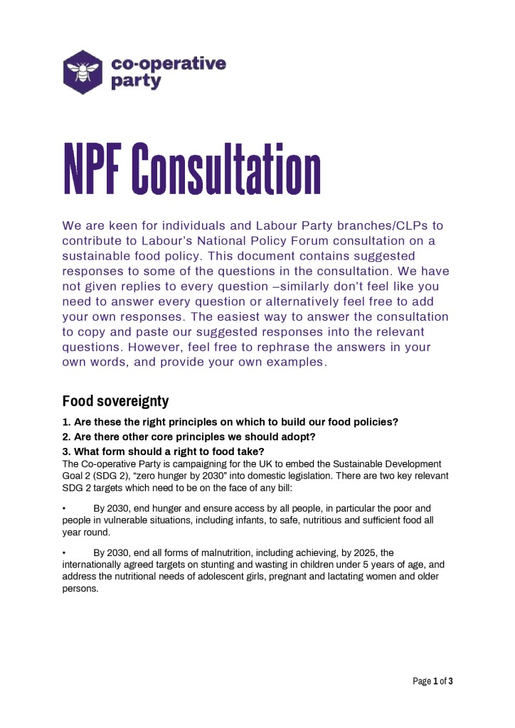 thumbnail of NPF consultation response_final