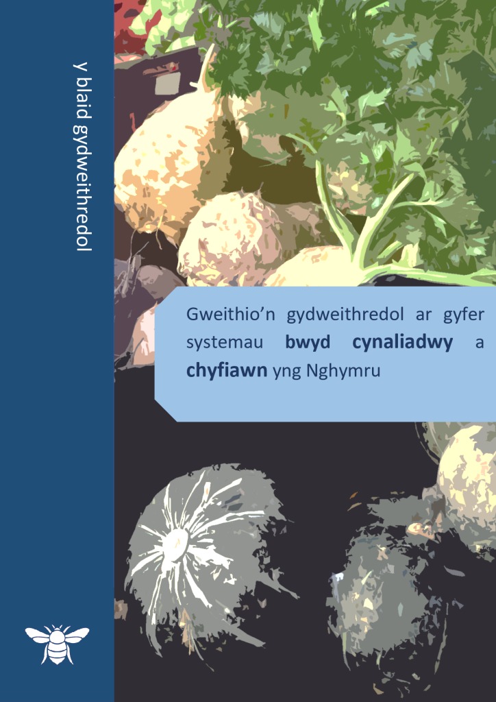 thumbnail of Sustainable and Just Food System – Welsh