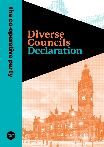 A5 Diverse Councils briefing