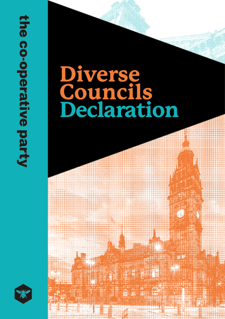 thumbnail of Diverse Councils Briefing Web