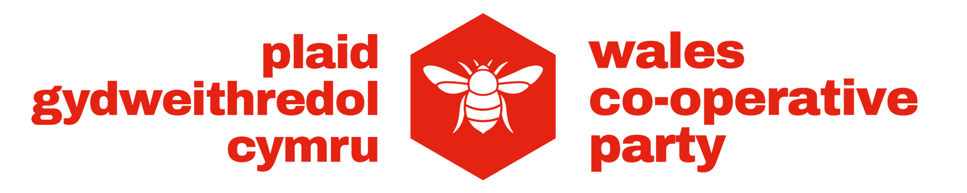 Welsh Bi Logo Red