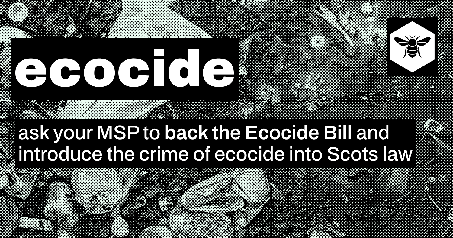 ecocide-26-varianet (1)