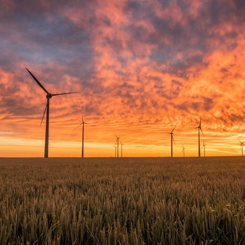 landscape photography of grass field with windmills under orange sunset